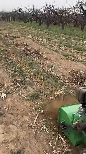 79K views · 341 reactions | Mini Cutivetor Machine  . . #cultivator #machine #tips #tools #tooltips #reelsfb #usa #reels #fbreels | Rey Tree | Facebook