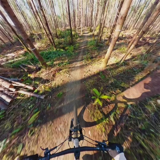 😤🫏!!! Steam Donkey at Port Gamble. A fun and proper downhill run! #mtb #mountainbike #downhillmtb #canyonbikes #gopro