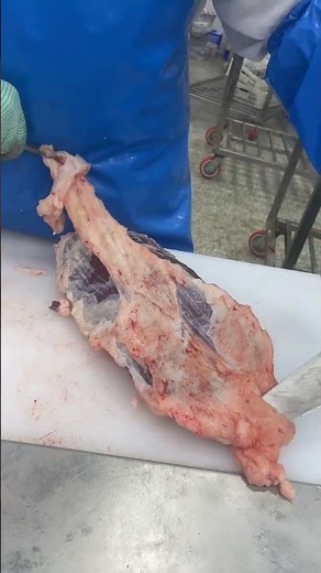 Beef Knuckle Membrane Trimming Skills