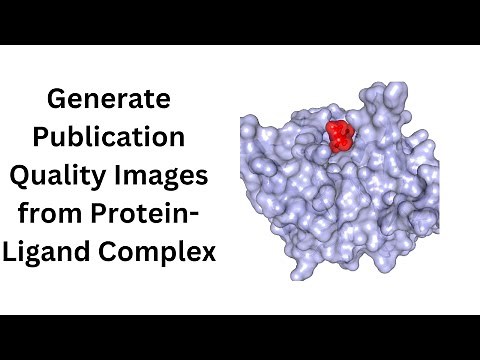 How To Generate Protein Ligand Images after docking?