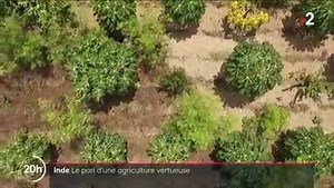 14K views · 254 reactions | Inde : Une agriculture 100% naturelle pour sauver les paysans. | Agriculteurs Modernes | Facebook