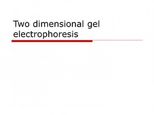 Two dimensional gel electrophoresis - SlideServe