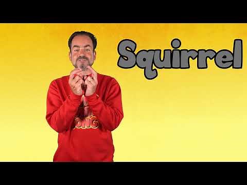 ASL SQUIRREL | SQUIRREL in Sign Language | ASL Sign for SQUIRREL