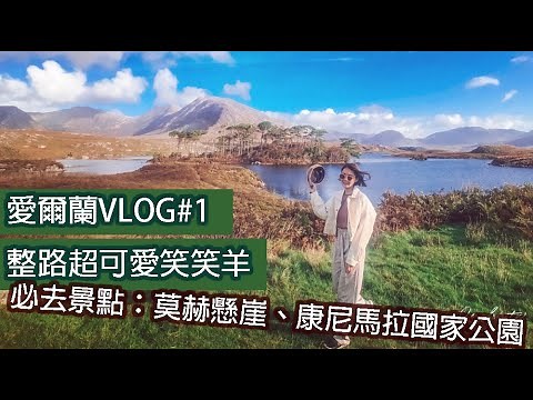 愛爾蘭VLOG 1 | 整路黑頭笑笑羊可愛死了 、必去景點：莫赫懸崖、康尼馬拉國家公園、金瓦拉小鎮