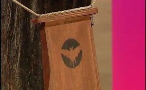 Sorry, we have encountered a problem. - Alexander Street, a ProQuest Company