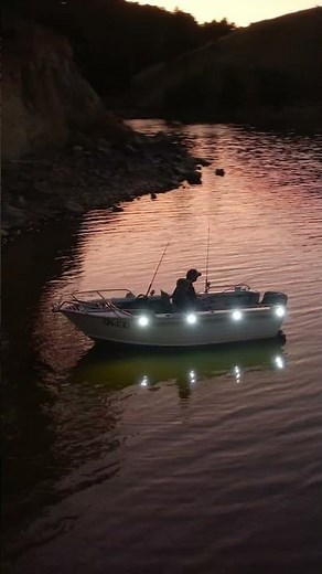 STEDI™ Marine LED Lighting