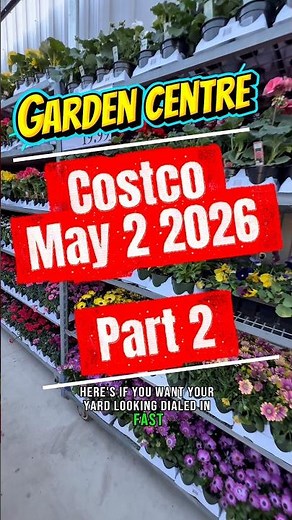 Cheapest Way to Fill Your Garden Fast #gardening #costco #landscaping