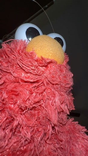 Stop Worrying and Start Moving Today