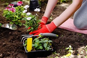 Best Garden Kneeling Pad (3 Top Winners!) • Sow Small Garden