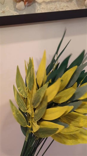 I am so excited! I am thrilled Facebook got it right and popped this page on my doom scroll. Anyways! I'm very been creating HP decor for my birthday this summer. I am turning 40 and I have never had a themed birthday party before!! I post on my timeline but of course no one is all that interested 😂 I bet you guys would be though 💕 I am attaching a video I did. There's audio; to the effect of "can you guess what magical potions creature can be collected from this green, yellow bush?" Video is 