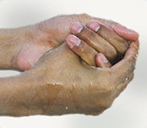 Apprendre à faire la prière musulmane - Le Bon Plan