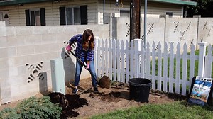 Drip Irrigation with Garden Answer