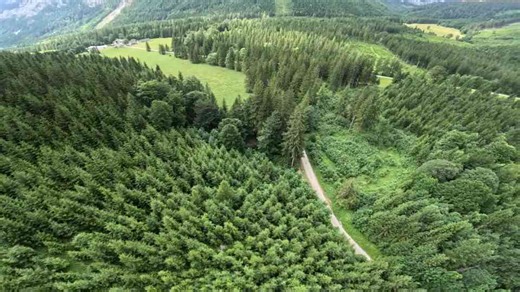 Wingsuit flying in extreme wind conditions