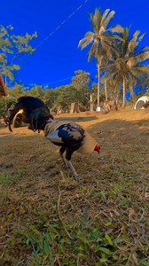 63K views · 4.4K reactions | Nenet Paguya on Reels | Facebook