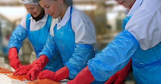 Fish processing in Norway | Inka AS