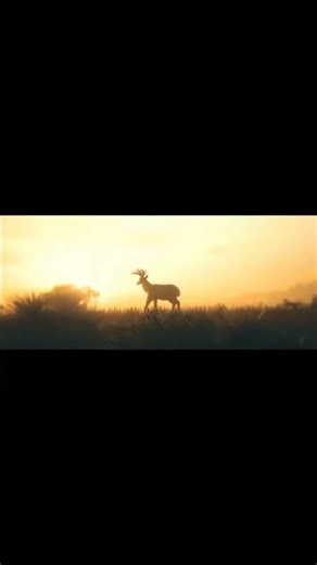 Rdr2 4k hyper edit #shorts #trending #reddeadredemption2 #rdr2 #arthurmorgan #pcgames #reddead2