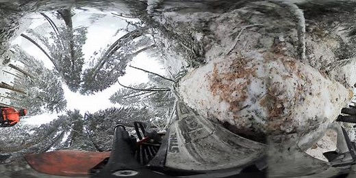12K views · 186 reactions | Opening up new perspectives: experience a STIHL chainsaw in action – in a 360°-Video! | STIHL | Facebook