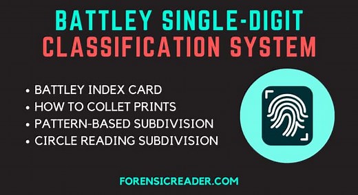 Battley Single Digit Classification System: Fingerprint Identification