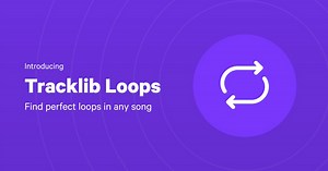 Tracklib uses artificial intelligence to find perfect loops to sample in every song