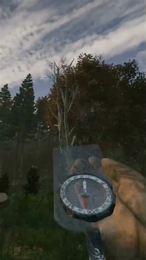 DayZ - PRO TIP! How to use the ORIENTEERING COMPASS. And why its the best option.