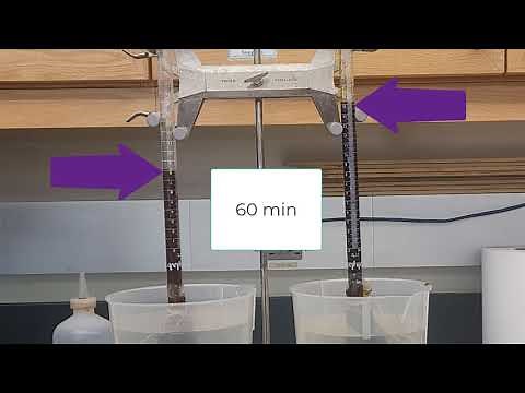 Classic Biology Experiments - Osmometer Experiment