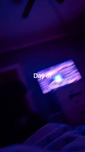 Elfs and Elf pets! on TikTok