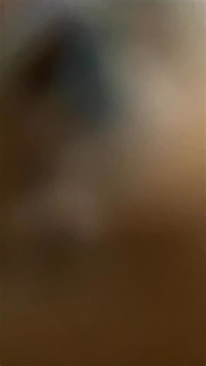 2 day old belly check on silver fox kits born December 2nd, 2025. 3 black, one blue, one chocolate, one lilac (probably). #silverfox #babybunnies | Fox Hollow Acres