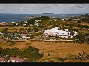 Green Christmas - The Great John L (V.I. Calypso)