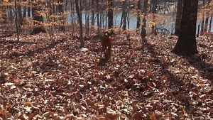 Another beautiful "Spring" day in Atlanta. | Heather Tesch