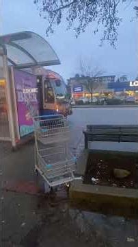 Translink nova bus route 230 arrives and depart