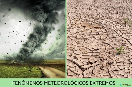 Fenómenos meteorológicos extremos: qué son, causas, tipos y consecuencias