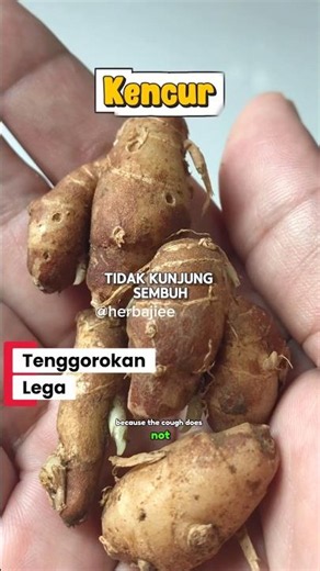 Herbal Alami Untuk Batuk Dan Sakit Tenggorokan #herbal #sehatalami #obatalami #batukberdahak #tips