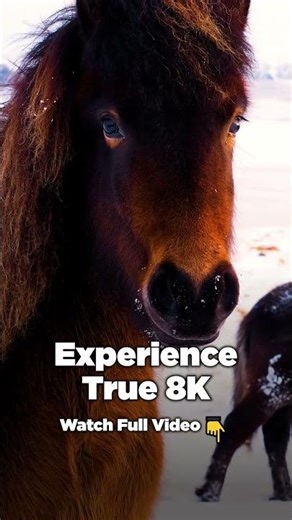 👉 Is Your Screen Ready? 🤯 Real 8K HDR Nature #shorts