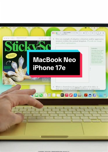 MacBook NEO за $600 - найдешевший ноутбук Apple та інші новинки 🤯 Усі ці гаджети скоро будуть в @Яблуня , а промокод Svidomy дає гарантований подарунок до замовлення 🎁 Паралельно вийшов iPhone 17e з MagSafe 15 Вт, A19 і стартом з 256 ГБ – MacBook NEO: до 16 год автономності, 2×USB-C, кольори silver/indigo/blush/citrus – iPhone 17e: урізана графіка, 60 Гц і старий чубчик, зате є Soft Pink – Плюс оновили лінійку: MacBook Air M5 з базою 512 ГБ, Pro на M5 Pro/Max з Fusion, Studio Display XDR 120 Г