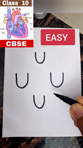 Human heart diagram drawing class 10 CBSE #cbse #class10