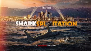 The Found Footage Phenomenon