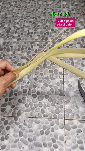 2.8K views · 207 reactions | Tutorial ikan koi dari daun kelapa . Full dan slow video ada di galeri Dwija PanJavas social media #tutorial #kreasijanur #hiasanjanur #coconutleafcraft #kerajinantangan #idekreatif #fblifestyle.#mainanedukasi #palmleafart #diy #ikankoi Pengikut Dewa Ayu Triana Dewi | Dwija PanJavas | Facebook