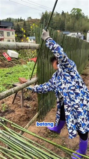 PAGAR RANTING BAMBU ORANG CINA