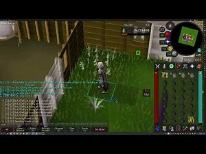 Quick Bagged Plant Training OSRS