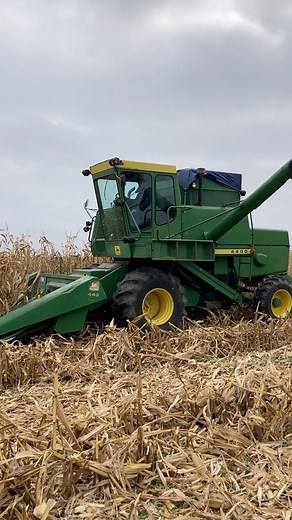 99K views · 2.9K reactions | John Deere 4400 with Mud Hog rear axle harvesting corn | Tractor Chasers | Facebook