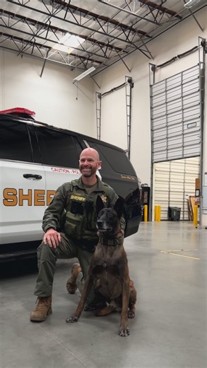 38K views · 4.2K reactions | Behind the scenes of a K-9 photoshoot.    #K9 #Photoshoot #BTS #BehindTheScenes #FurryFriends #RiversideSheriff | Riverside County Sheriff's Office | Facebook
