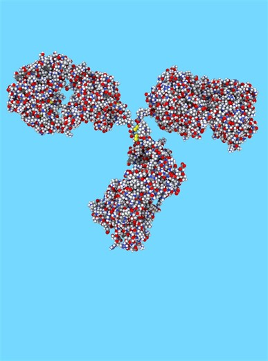 Simulación de Anticuerpos: Aprendiendo con Chimera
