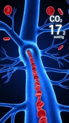 Anxiety Hyperventilation