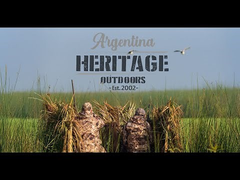 Epic Duck hunting in Argentina. San Martin Lodge - Buenos Aires Ducks Mecca.