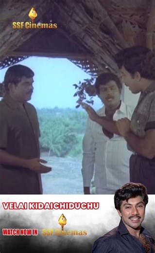 MLA Dress Code | VELAI KIDAICHIDUCHU | TVK | #tvk #tvkparty #tvkpolitics | DMK