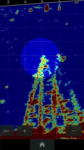 LiveScope video: Catching crappie off PVC structure