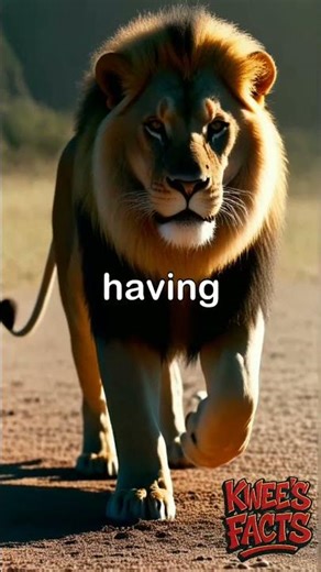 The lion from the Metro Goldwyn Mayer logo🤔#facts #human #lion #animals #knowledge #amazingfacts