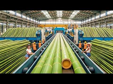 Inside the World’s Massive Bamboo Industry | How Billions of Bamboo Become Eco Products