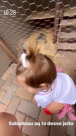 Virginia Storie: A Deep Dive into Local Culture