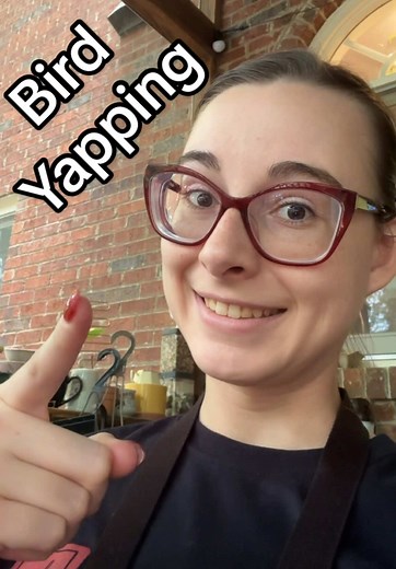 Yapping of a Bird Nerd: Hawk Watch & Backyard Birding
